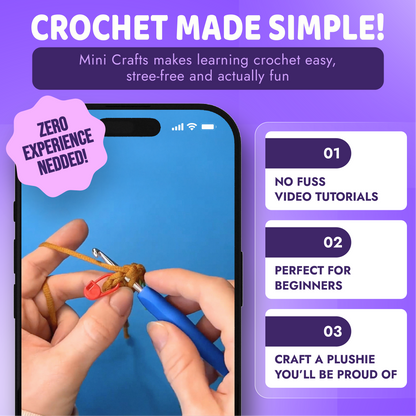 Poppi The Fairy Pig Crochet Kit